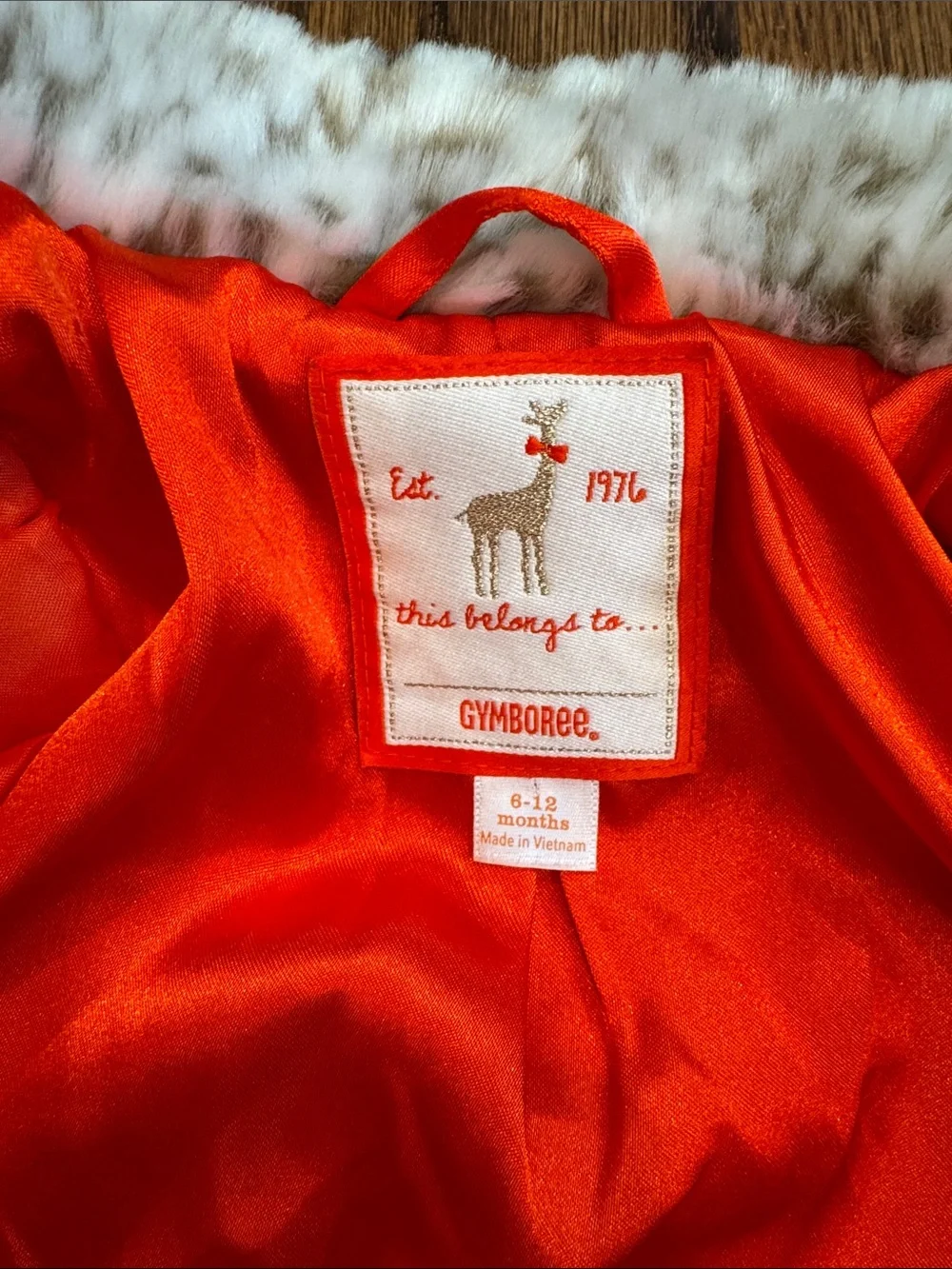 Gymboree stylish bright
